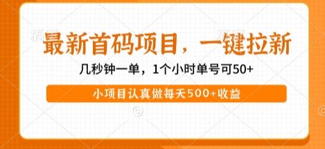 最新首码项目,操作最简单,收益高,一键拉新,1个小时单号可50+,小项目认真做每天5张+收益【揭秘】