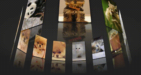 520表白html实现3D动态相册，换成女朋友照片-云创智库