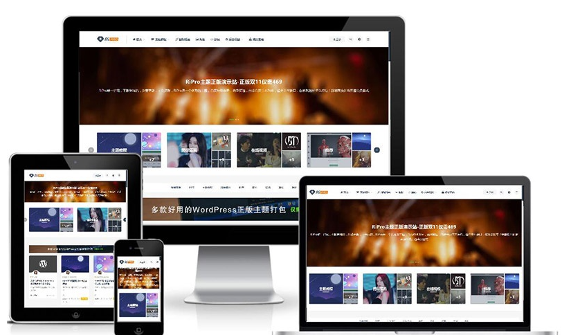 ripro虚拟资源主题8.9开心版/免授权/ripro日主题V8.9-云创智库