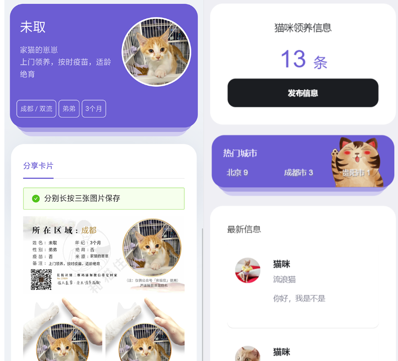 最新流浪猫流浪狗H5完整运营源码下载/可封装APP-云创智库