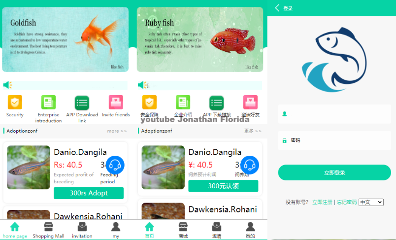 养鱼金融投资理财源码 支持商城 抽奖 投资收益余额宝等！ 双语言支持中英文-云创智库