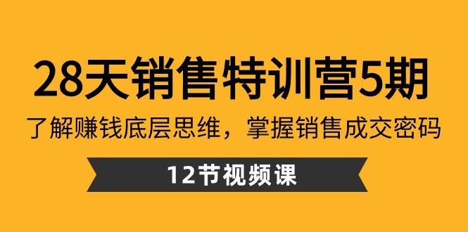28天销售特训营5期：了解赚钱底层思维，掌握销售成交密码（12节课）-云创智库