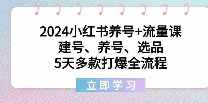 2024小红书养号+流量课：建号、养号、选品，5天多款打爆全流程-云创智库
