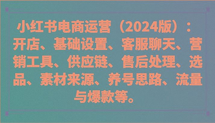 小红书电商运营(2024版)：开店、设置、供应链、选品、素材、养号、流量与爆款等-云创智库