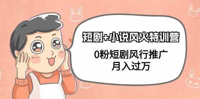 小说+短剧风火特训营，0粉短剧小说风行推广，实现月入过万-云创智库