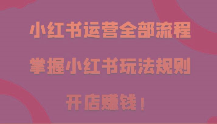 小红书运营全部流程，掌握小红书玩法规则，开店赚钱！-云创智库