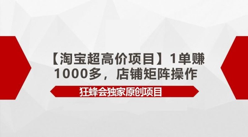 【淘宝超高价项目】1单赚1000多，店铺矩阵操作-云创智库