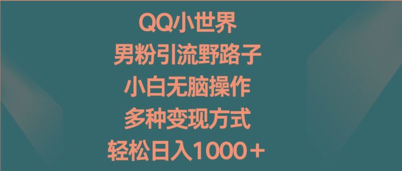QQ小世界男粉引流野路子，小白无脑操作，多种变现方式轻松日入1000＋-云创智库