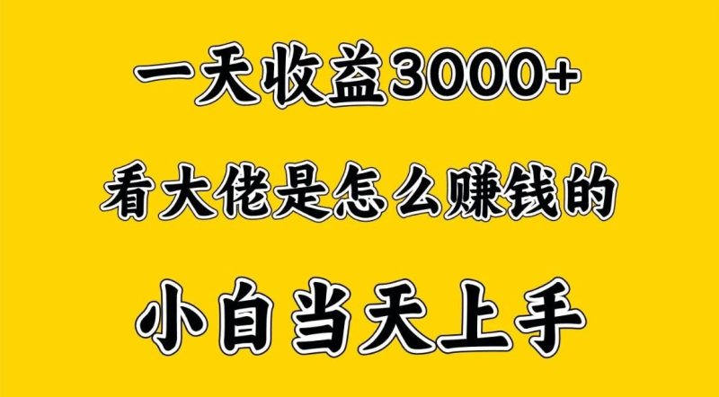 一天赚3000多，大佬是这样赚到钱的，小白当天上手，穷人翻身项目-云创智库