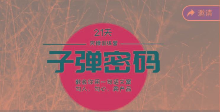 《子弹密码训练营》-用一句话文案勾人勾心卖产品，21天学到顶尖文案大师策略和技巧-云创智库