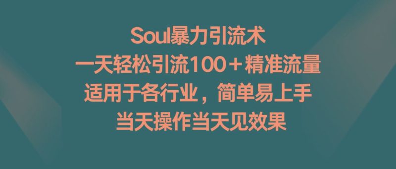 Soul暴力引流术，一天轻松引流100＋精准流量，适用于各行业，简单易上手！-云创智库