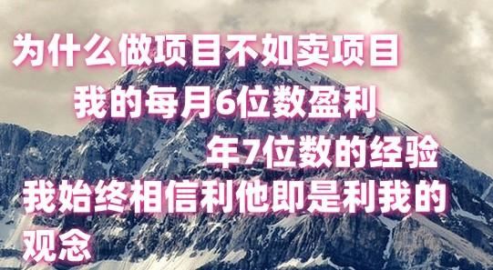 做项目不如卖项目，每月6位数盈利，年7位数经验-云创智库