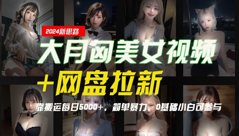 【新思路】大月匈美女视频+网盘拉新，靠搬运每日5000+，简单暴力，0基础小白可参与-云创智库