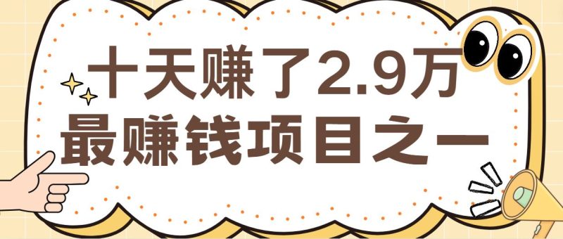 闲鱼小红书最赚钱项目之一，纯手机操作简单，小白必学轻松月入6万+-云创智库