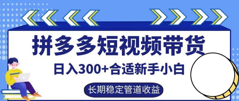 拼多多短视频带货日入300+，实操账户展示看就能学会-云创智库