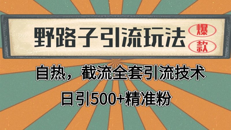 抖音小红书视频号全平台引流打法，全自动引流日引2000+精准客户-云创智库