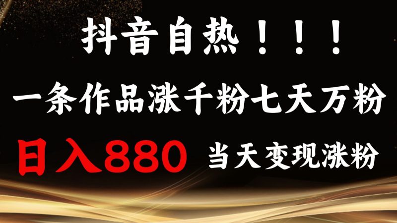 抖音小红书自热，一条作品1000粉，7天万粉，单日变现880收益-云创智库