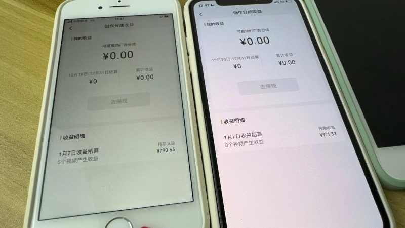 (8549期)全网独家首发，视频号BUG，超短期项目，单号每日净收益300-5000！-云创智库