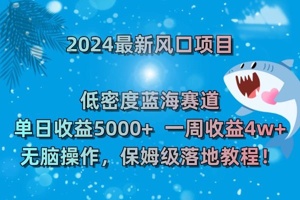 (8545期)2024最新风口项目 低密度蓝海赛道，日收益5000+周收益4w+ 无脑操作，保…-云创智库