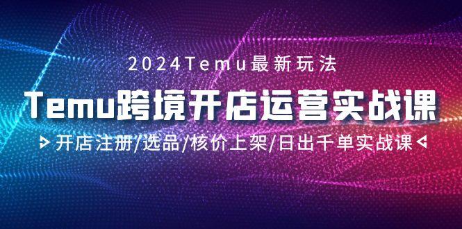 2024Temu跨境开店运营实战课，开店注册/选品/核价上架/日出千单实战课-云创智库