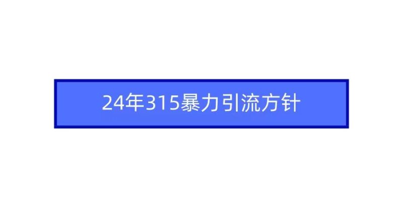 (9398期)2024年315暴力引流方针-云创智库