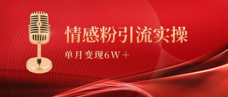 (9473期)单月变现6w+，情感粉引流变现实操课-云创智库