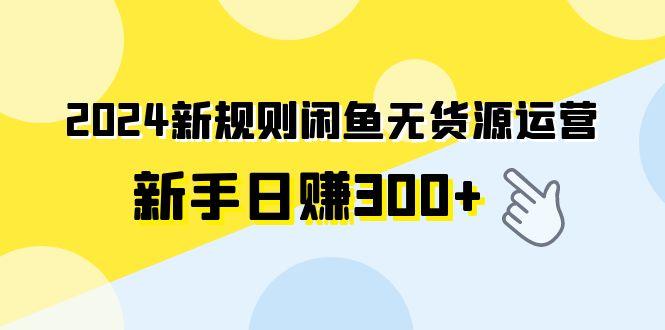 (9522期)2024新规则闲鱼无货源运营新手日赚300+-云创智库