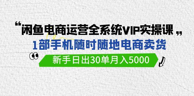 (9547期)闲鱼电商运营全系统VIP实战课，1部手机随时随地卖货，新手日出30单月入5000-云创智库