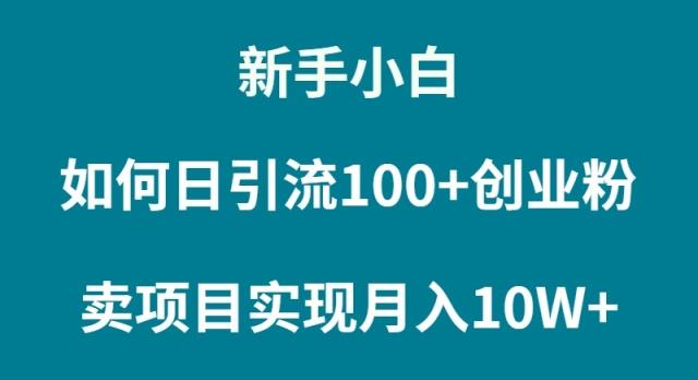 (9556期)新手小白如何通过卖项目实现月入10W+-云创智库
