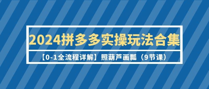 (9559期)2024拼多多实操玩法合集【0-1全流程详解】照葫芦画瓢(9节课)-云创智库