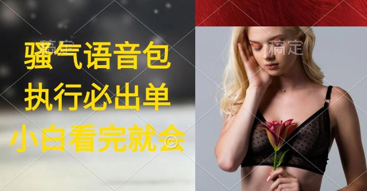 (9589期)执行就出单，日入2000+，超火骚气语音包，小白看完课程就能马上实操-云创智库