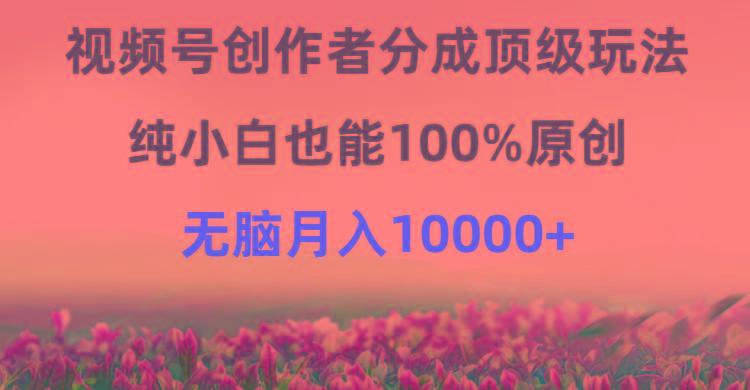 (9608期)视频号创作者分成顶级玩法，纯小白也能100%原创，无脑月入10000+-云创智库