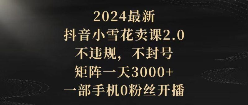 (9639期)2024最新抖音小雪花卖课2.0 不违规 不封号 矩阵一天3000+一部手机0粉丝开播-云创智库
