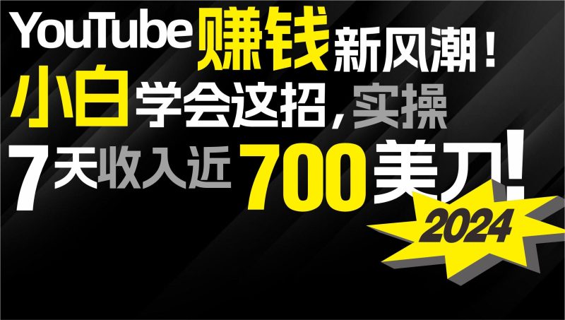 (9647期)2024 YouTube赚钱新风潮！小白学会这招，7天收入近7百美金！-云创智库