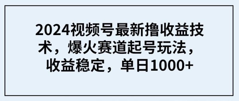 (9651期) 2024视频号最新撸收益技术，爆火赛道起号玩法，收益稳定，单日1000+-云创智库