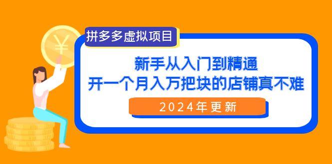 (9744期)拼多多虚拟项目：入门到精通，开一个月入万把块的店铺 真不难(24年更新)-云创智库
