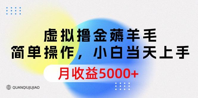 (9864期)虚拟撸金薅羊毛，简单操作，小白当天上手，月收益5000+-云创智库