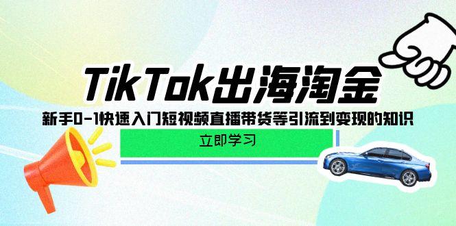 (10035期)TikTok-出海淘金，新手0-1快速入门短视频直播带货等引流到变现的知识-云创智库