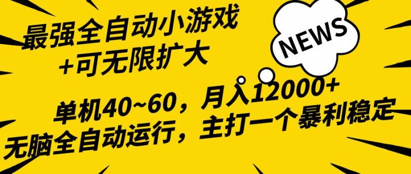 (10046期)2024最新全网独家小游戏全自动，单机40~60,稳定躺赚，小白都能月入过万-云创智库