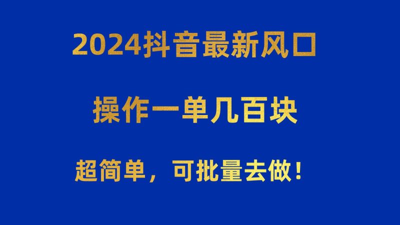 2024抖音最新风口！操作一单几百块！超简单，可批量去做！！！-云创智库