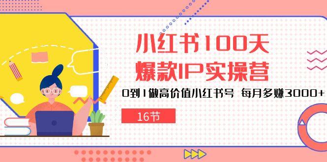 小红书100天-爆款IP实操营，0到1做高价值小红书号 每月多赚3000+(16节-云创智库