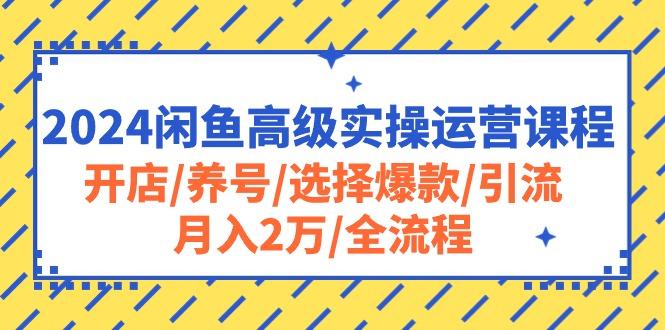 2024闲鱼高级实操运营课程：开店/养号/选择爆款/引流/月入2万/全流程-云创智库