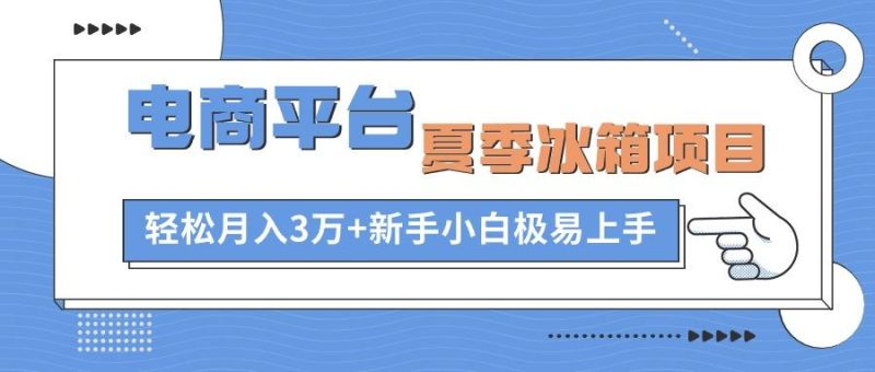 电商平台夏季冰箱项目，轻松月入3万+，新手小白极易上手-云创智库