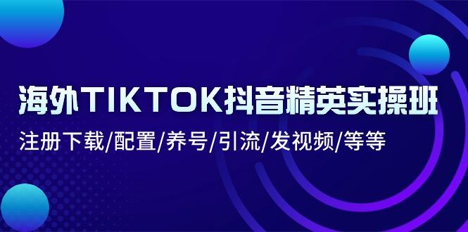 海外TIKTOK抖音精英实操班：注册下载/配置/养号/引流/发视频/等等-云创智库