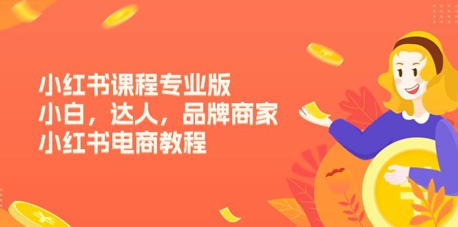 小红书课程专业版，小白，达人，品牌商家，小红书电商教程(15节-云创智库