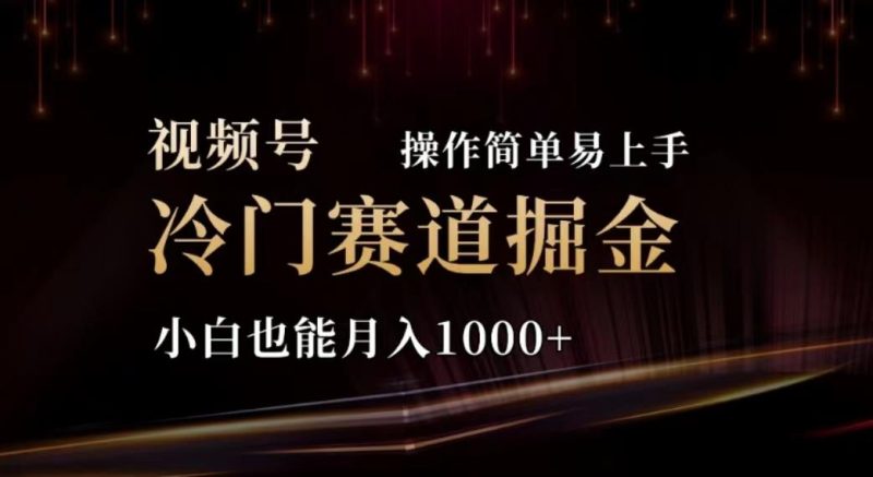 2024视频号冷门赛道掘金，操作简单轻松上手，小白也能月入1000+-云创智库
