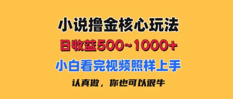 小说撸金核心玩法，日收益500-1000+，小白看完照样上手，0成本有手就行-云创智库