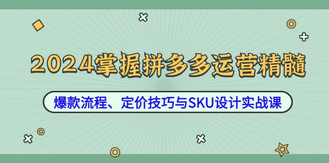 2024掌握拼多多运营精髓：爆款流程、定价技巧与SKU设计实战课-云创智库