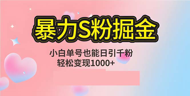 单人单机日引千粉，变现1000+，S粉流量掘金计划攻略-云创智库