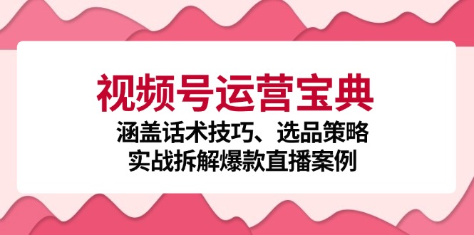 视频号运营宝典：涵盖话术技巧、选品策略、实战拆解爆款直播案例-云创智库